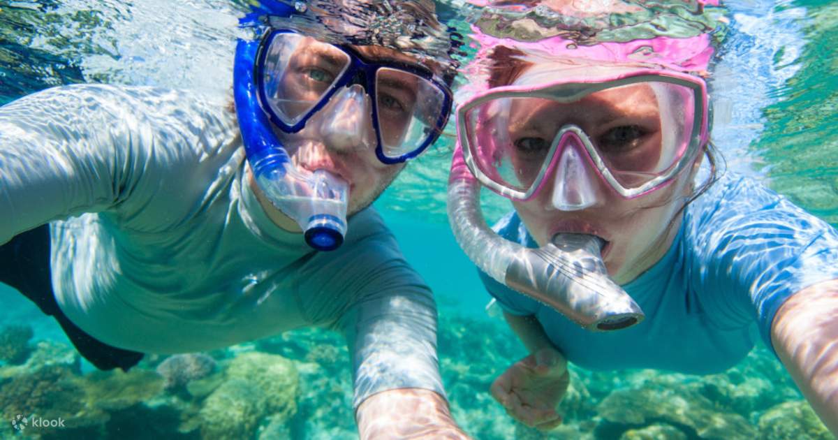 Fujairah Snorkeling Experience from Dubai Klook